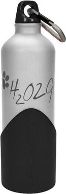 H2O2GO Water Bottle - 750 ml - silver