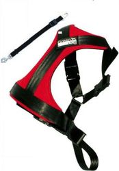 GreenDog Safety belt L red