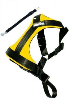 GreenDog Safety belt XS yellow - missing belt in package