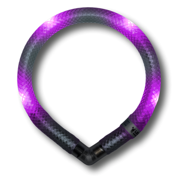LED Light dog collar LEUCHTIE Mini lavender transparent tube (extra bright) 27,5 cm