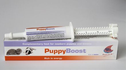 PuppyBoost paste 15 ml (15 doses)