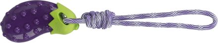 Trixie Aubergine on a Rope 13 cm/34 cm