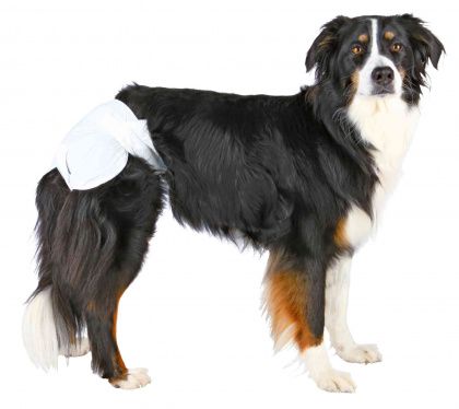 Trixie Diapers for Female Dogs L